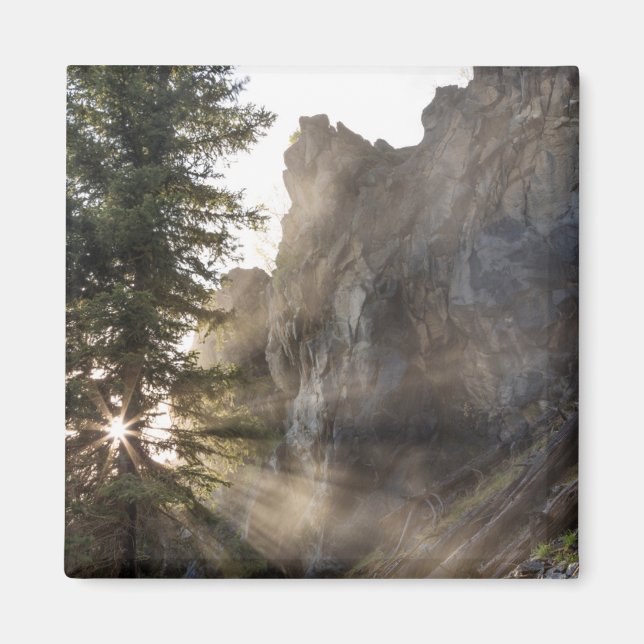 Imán Cataratas Holland | Bosque nacional de Lolo, Monta (Frente)