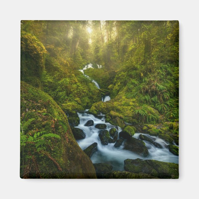 Imán Cataratas | Parque Nacional Olímpico, Washington (Frente)