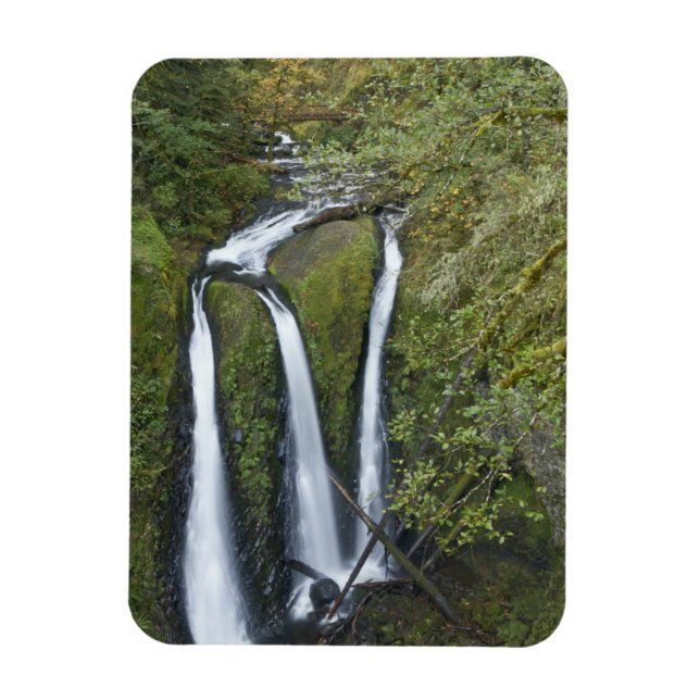 Imán Cataratas triples, desfiladero del río Columbia (Vertical)