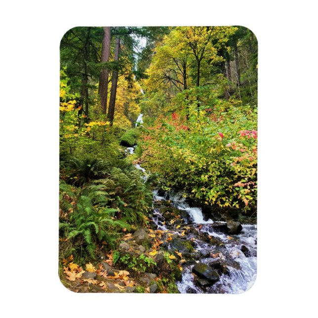 Imán Cataratas Wahkeena, desfiladero del río Columbia,  (Vertical)