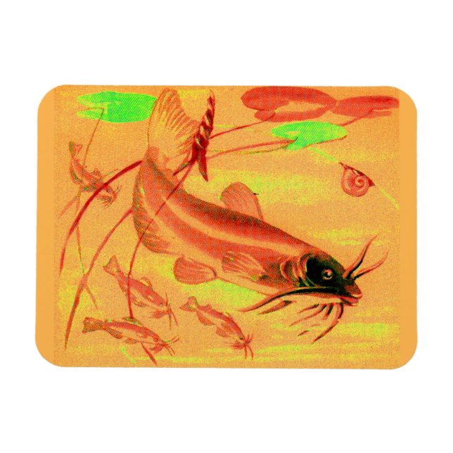 Imán catarro (Horizontal)