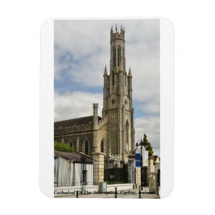 Imán Catedral de la Asunción, Carlow, Irlanda