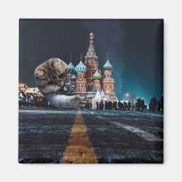 Imán Catedral de San Basil y Hosico