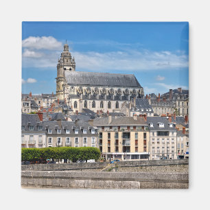 Imán Catedral de San Luis en Blois en Francia Postcard