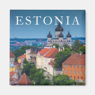 Imán Catedral y paisaje urbano  Estonia