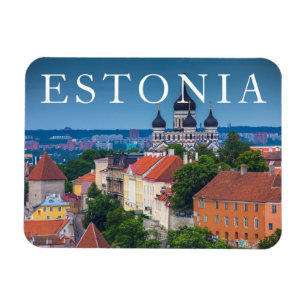 Imán Catedral y paisaje urbano   Estonia