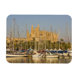 Imán Catedral y puerto deportivo, Palma, Mallorca, Espa