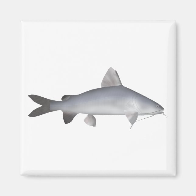 Imán Catfish Blu Salmon (Frente)