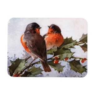 Imán Catherine Klein: Robins sobre Holly