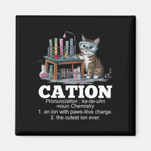 Imán Cation Chemistry Teacher Cat Pun Fun