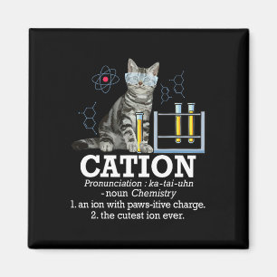 Imán Cation - Gracioso Gato de Maestros de Humor y Cien