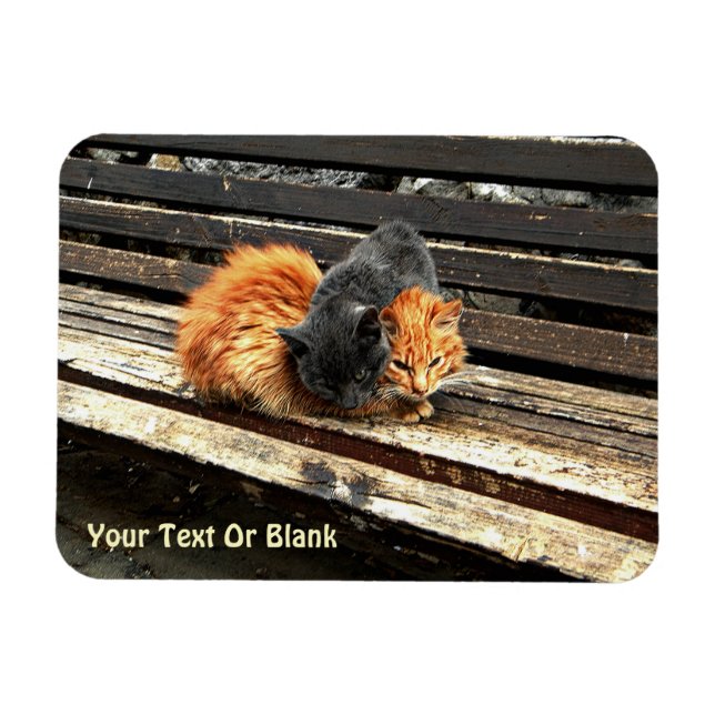 Imán Catnap Cuties (Horizontal)