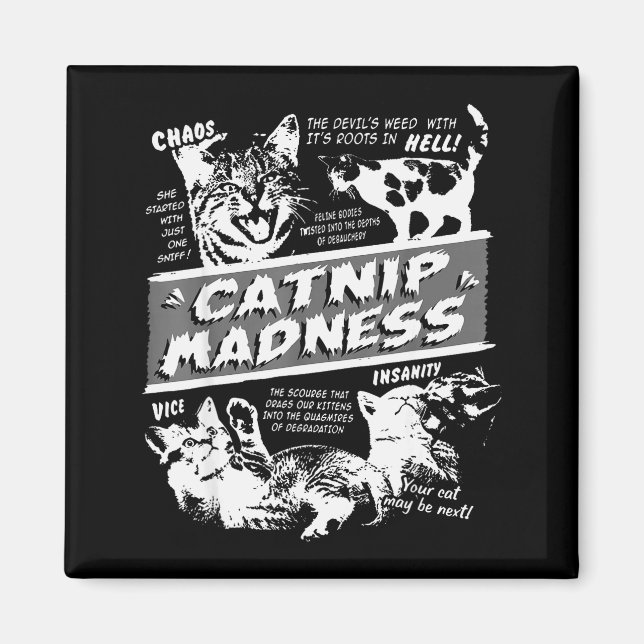 Imán Catnip Madness Cute Kitten Funny Cat Pet Humor  (Frente)