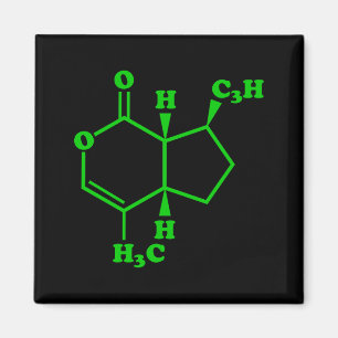 Imán Catnip Nepetalactona Fórmula Química Molecular