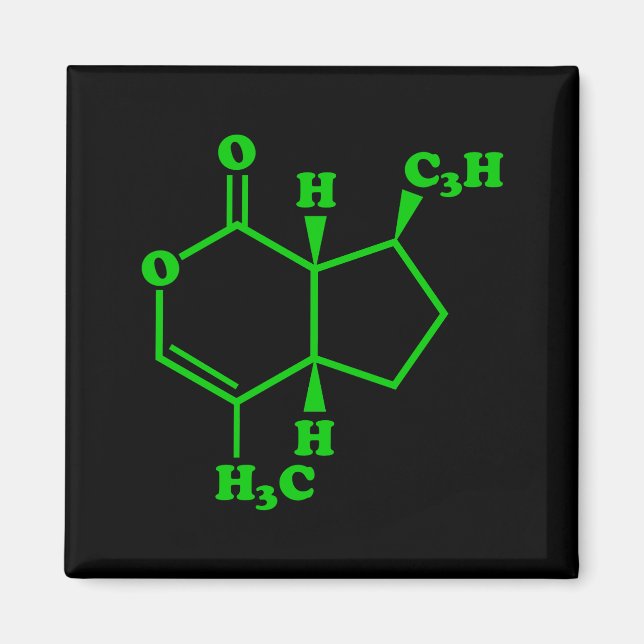 Imán Catnip Nepetalactona Fórmula Química Molecular (Frente)