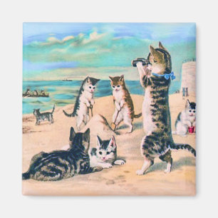 Imán Catos de playa