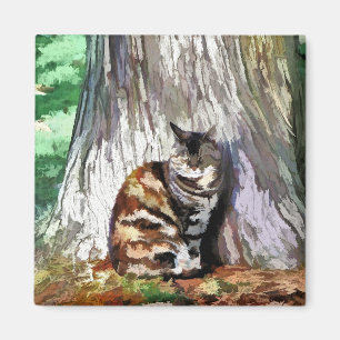 IMÁN CATS