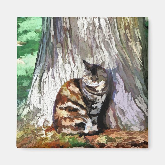 IMÁN CATS (Frente)
