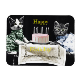 Imán Cats celebrating a birthday with cake and candles