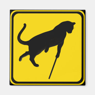 Imán ¡Cats ciegos cruzando!