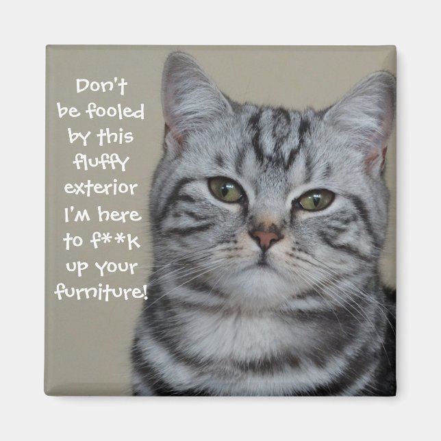 Imán Cats de Badass (Frente)