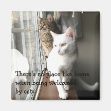 Cats Sitting by the Window