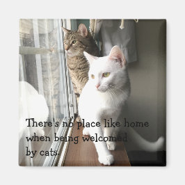 Imán Cats Sitting by the Window