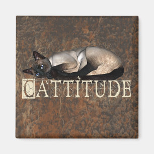Imán Cattitude