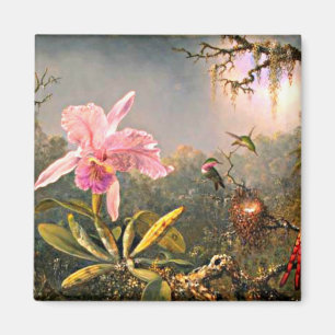 Imán Cattleya Orchid y tres Hummingbirds