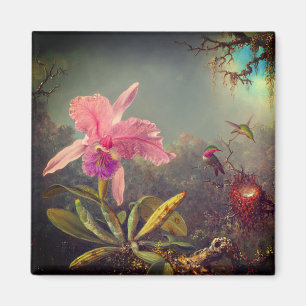 Imán Cattleya Orchid y tres Hummingbirds Heade