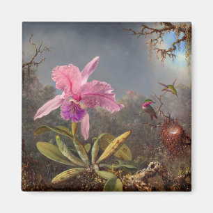 Imán Cattleya Orchid y tres Hummingbirds por Heade