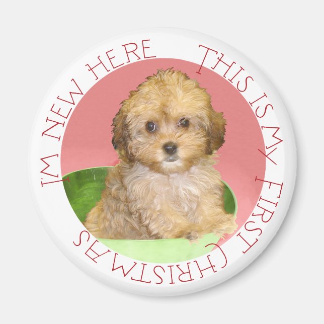 Imán Cavachon cachorro primera Navidad (Frente)