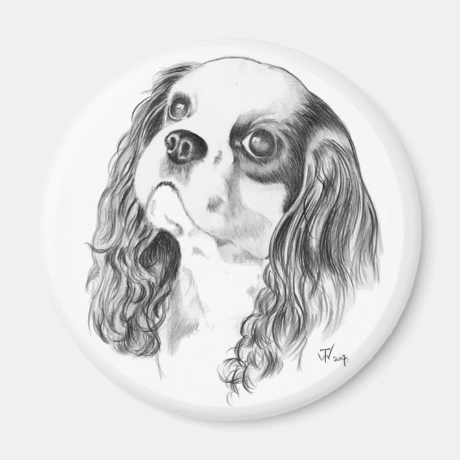 Imán Cavalier King Charles Drawing (Frente)