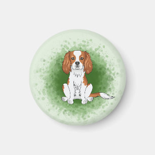 Imán Cavalier King Charles Spaniel Blenheim Sobre Verde