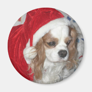 IMÁN CAVALIER KING CHARLES SPANIEL DOG CON SANTA HAT