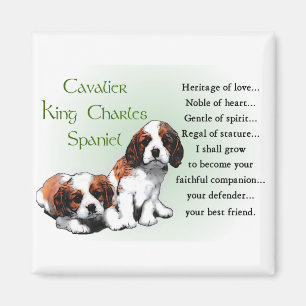Imán Cavalier King Charles Spaniel Gifts