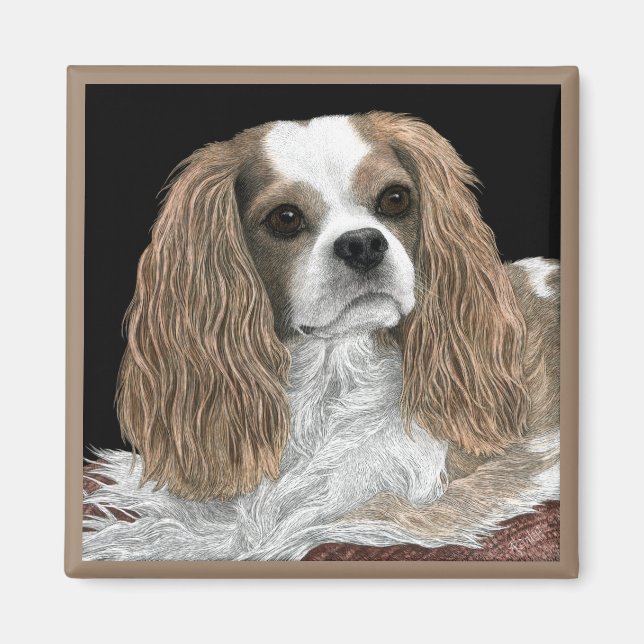 Imán Cavalier King Charles Spaniel Magnet - "Bella" (Frente)