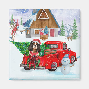 Imán Cavalier King Dog En La Nieve Del Camión De Entreg