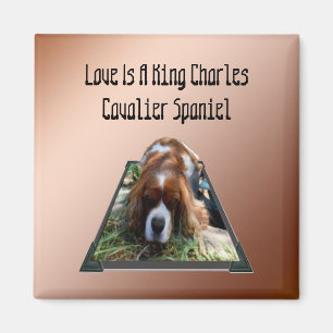 Imán Cavalier Spaniel Popout Art, Fridge Magnet