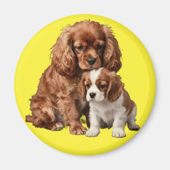Imán Cavalier Spaniel Rubí y su cachorro Blenheim (Frente)