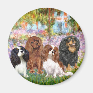 Imán Cavaliers (4) - en el jardín de Monet