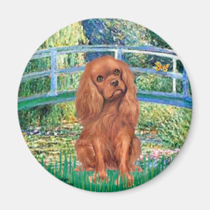 Imán Cavavlier (Ruby7) - Puente