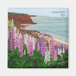 Imán Cavendish Cliffs and Spring Lupins Square Magnet