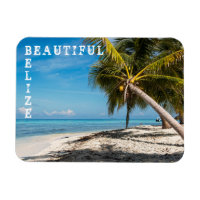 Caye de pájaros riéndose - Belice