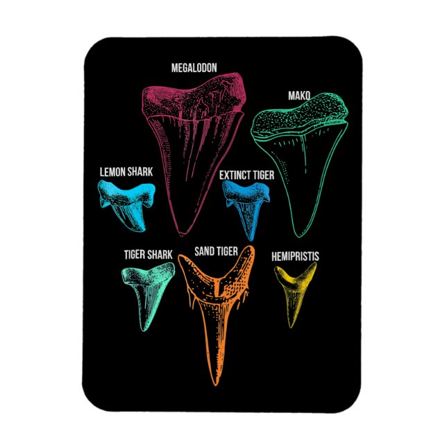 Imán Caza de dientes de tiburón - Regalos locos de tibu (Vertical)