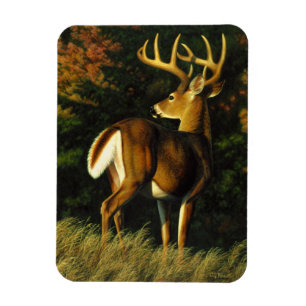 Imán Caza de gallos en el Trofeo Whitetail Deer