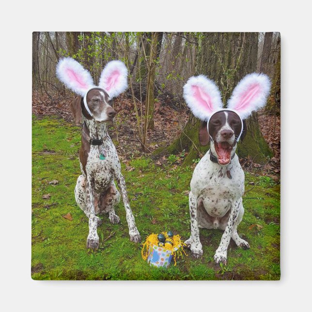 Imán Caza de huevos de Pascua y Fiesta de perros (Frente)