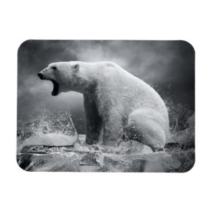 Imán Cazadora de oso polar blanco sobre hielo en agua