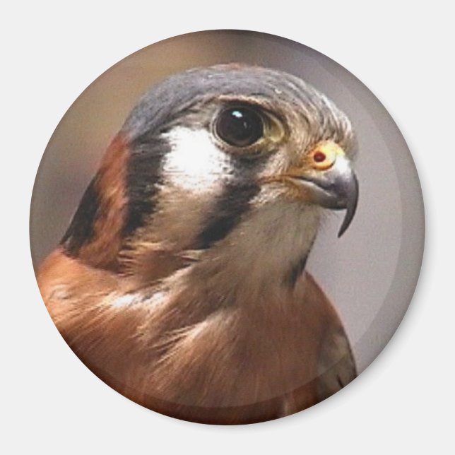 Imán cd2 017 (Frente)