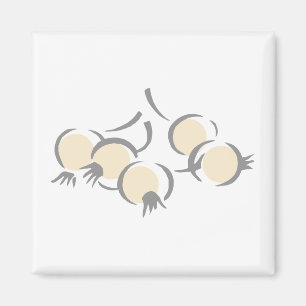 Imán Cebollas de perla